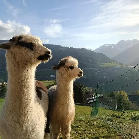 Kehrerhof Affittacamere